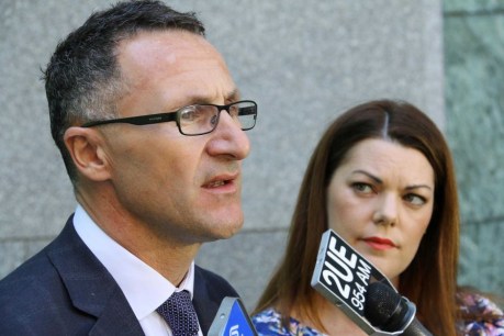 &#8216;Looking in rear vision mirror&#8217;: Greens&#8217; $150,000 taxpayer-funded splurge