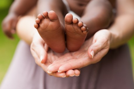 Rise in adoption rate &#8216;hopefully just the beginning&#8217;