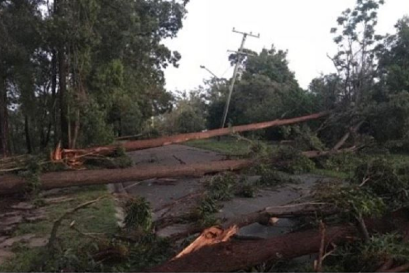 Residents inspect the damage on the Sunshine Coast after a storm tore through southeast Queensland.