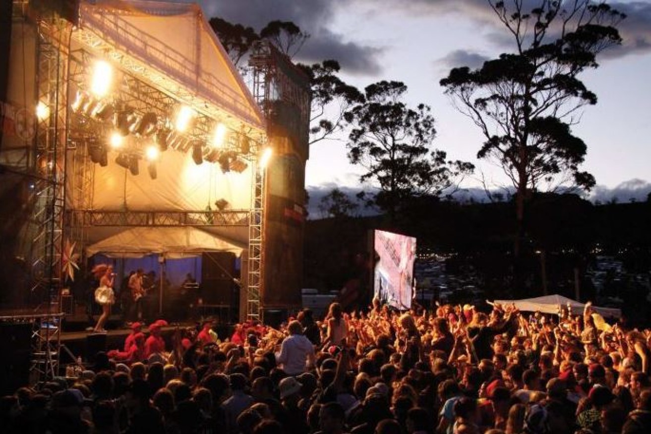 The mosh pit at the Falls Festival, scene of two alleged sexual assaults.
