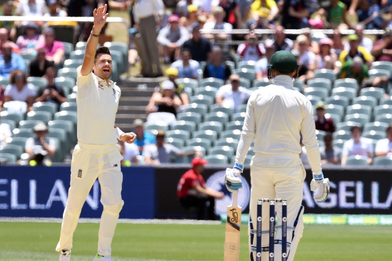 Anderson celebrates the wicket of Nathan Lyon.