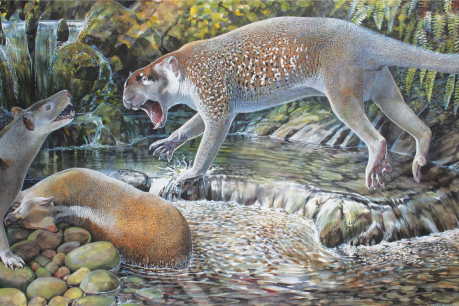 Marsupial lions roamed Queensland, fossil reveals