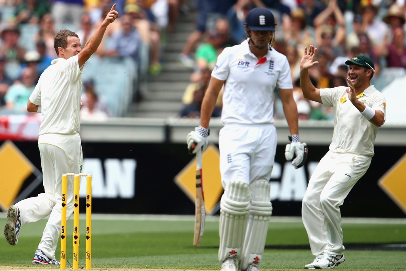 Siddle celebrates dismissing Alastair Cook in the 2013 Boxing Day Test.