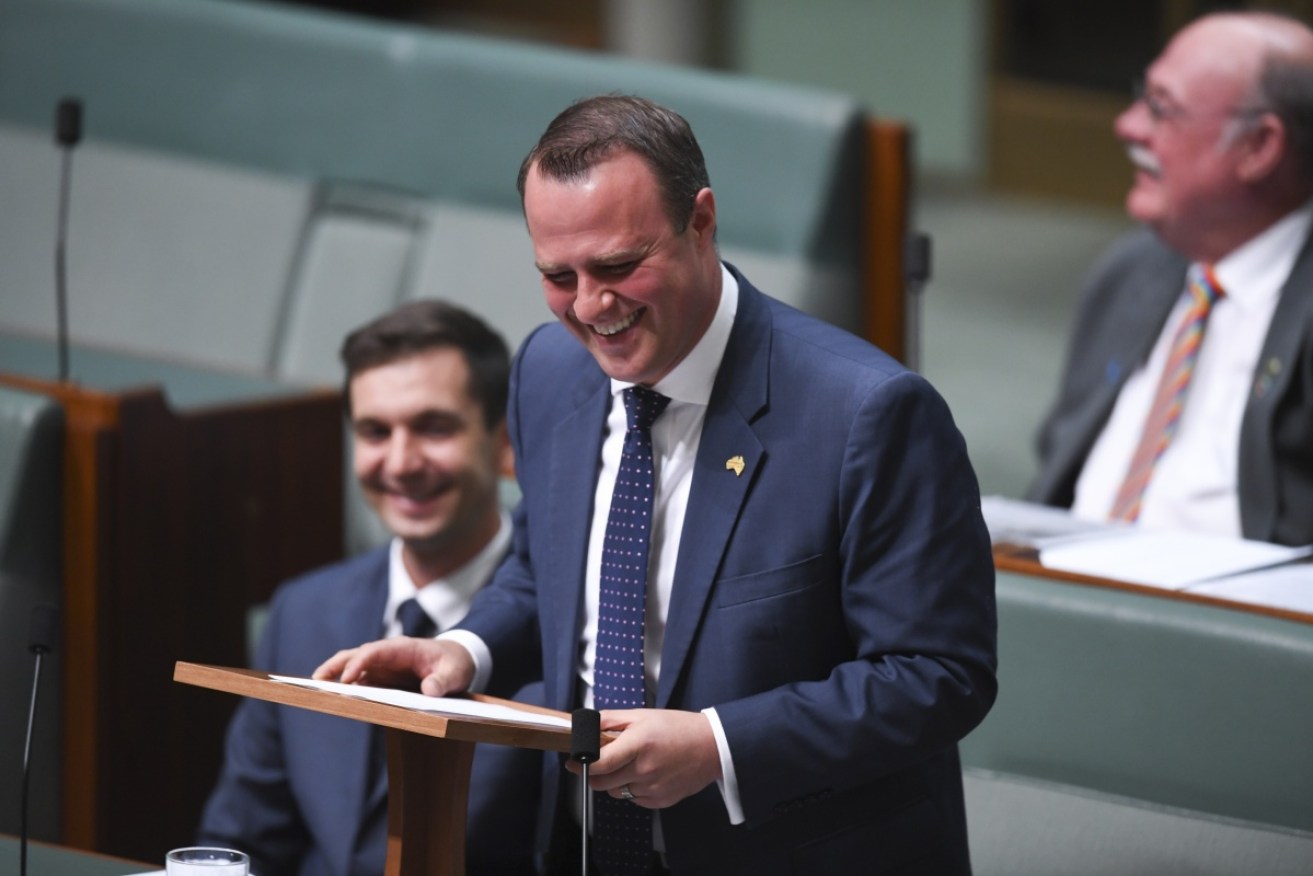 Liberal MP Tim Wilson asked his partner to marry him during a speech to Parliament.