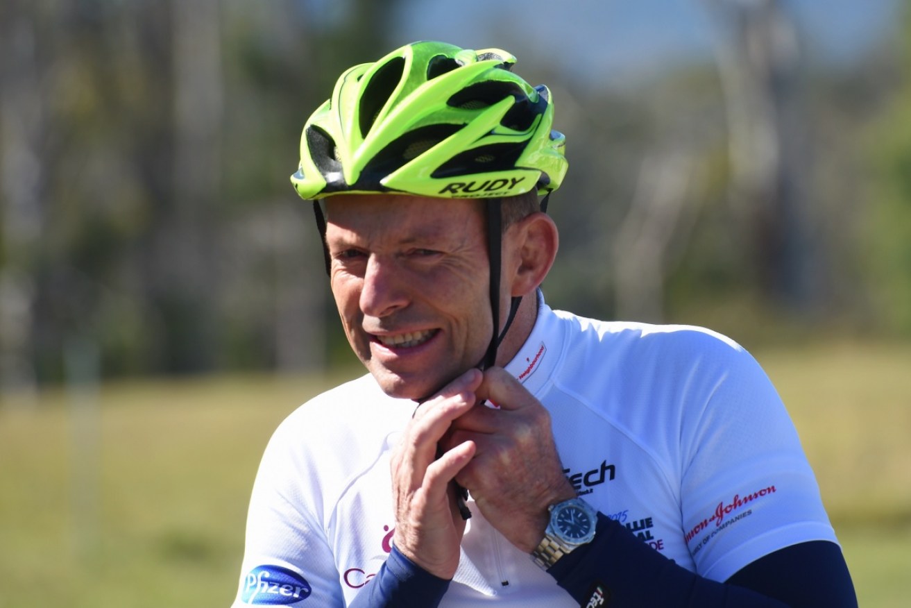 Even a recent cycling fall could not slow Tony Abbott's return to the frontline. 