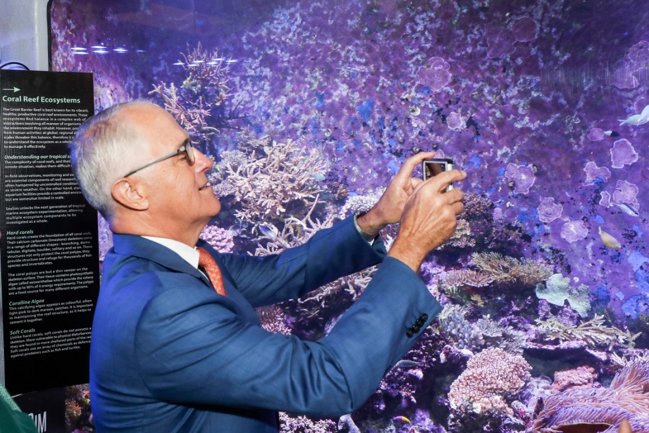 The Prime Minister Malcolm Turnbull at the Australian Institute of Marine Science in Cape Cleveland. 