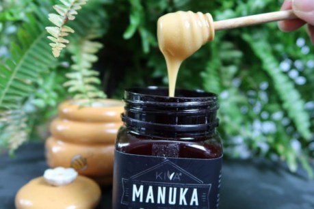 Manuka honey: Tasmanian beekeepers claim &#8216;we were first&#8217; in battle with New Zealand