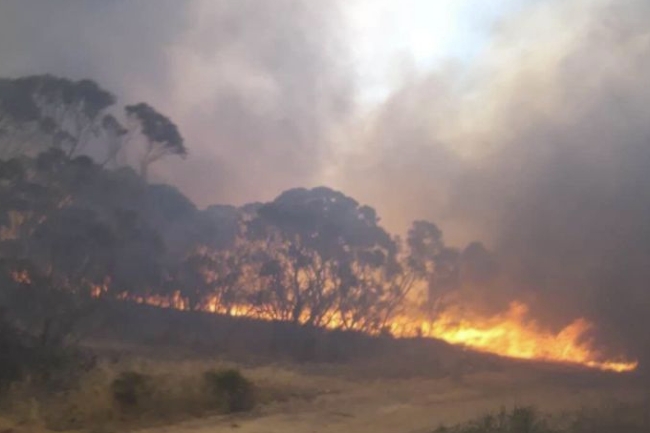 Emergency services are battling more than 50 bushfires. 