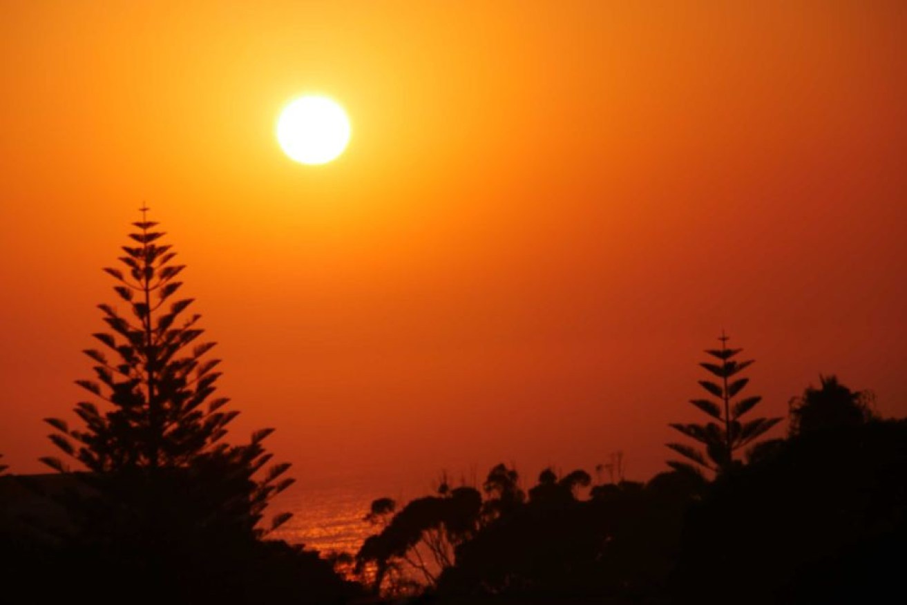 Heatwave conditions are set to get worse this summer. 