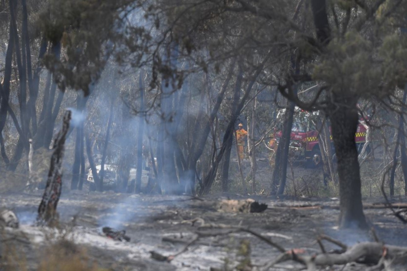 The fire that damaged homes and devastated a patch of pristine suburban bush was deliberately lit, police allege.