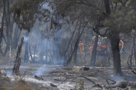 Teenage girl charged with igniting Melbourne bushfire that forced suburban street&#8217;s evacuation
