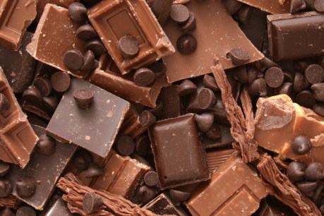 Cocoa growers future-proof against chocolate shortage