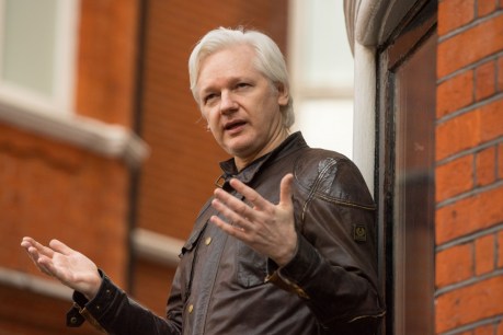 Wikileaks founder Julian Assange asks London court to drop UK arrest warrant