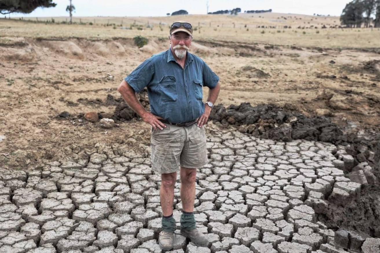 Six dams on Mark Horan's property have dried up.