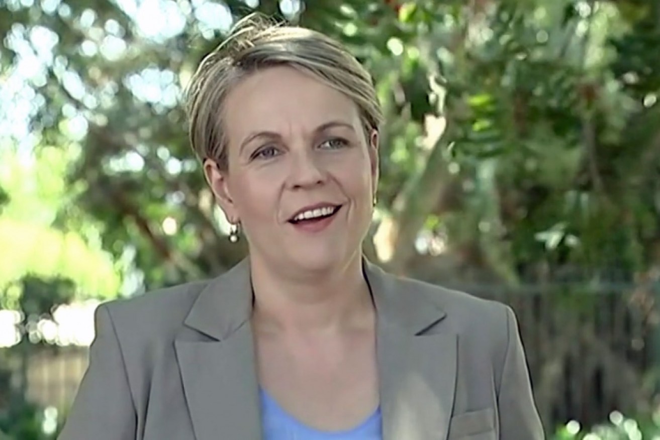 Labor's Tanya Plibersek moved the motion. 