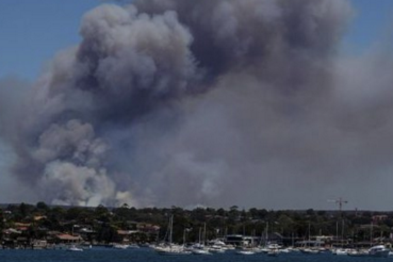 Fire broke out in two locations in Sydney's Royal National Park just before 2pm.