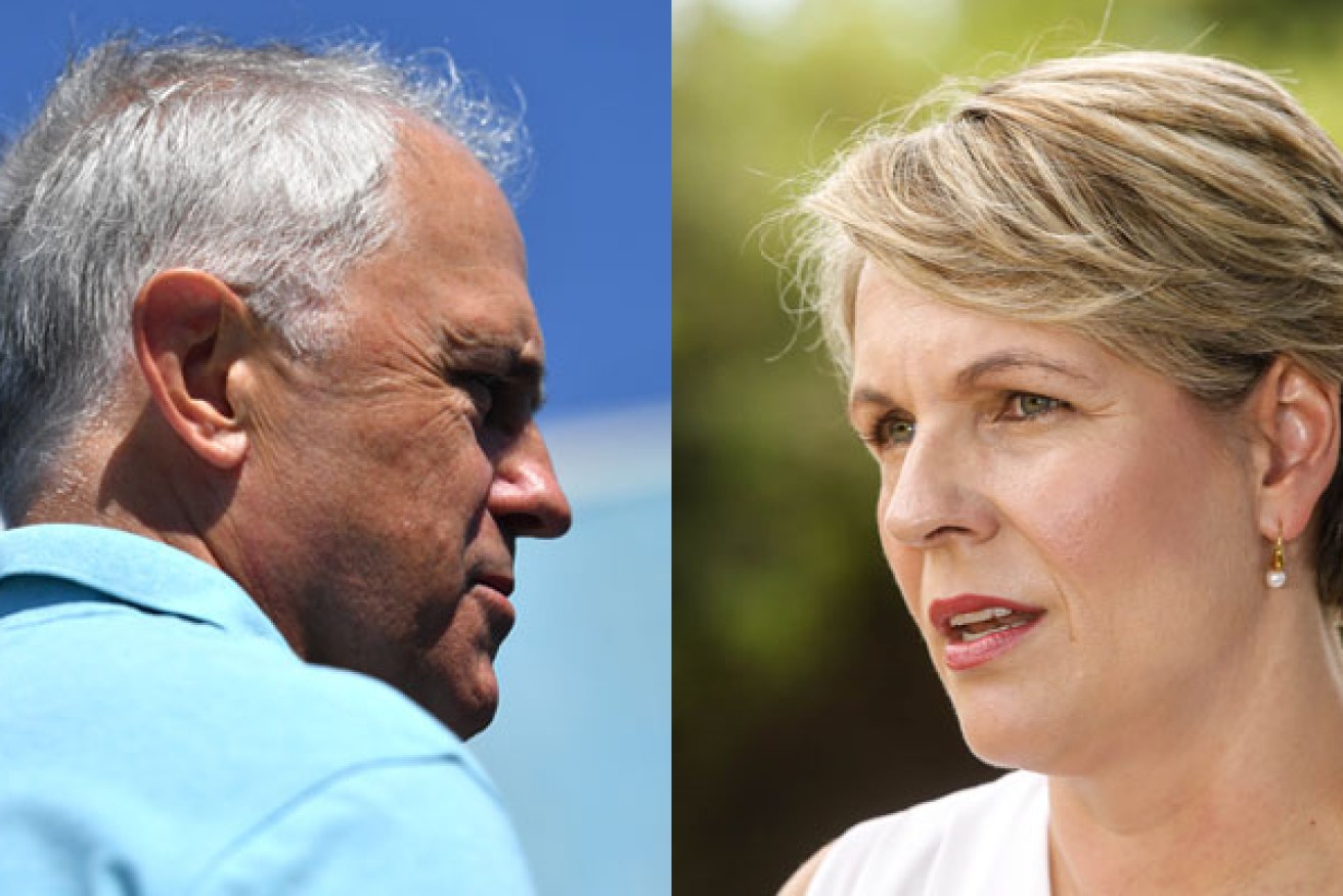 Labor's Tanya Plibersek has disparaged the Prime Minister's comments.