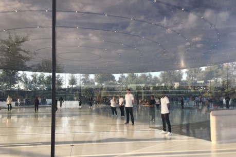Apple staff running into glass: The company&#8217;s design philosophy flaw
