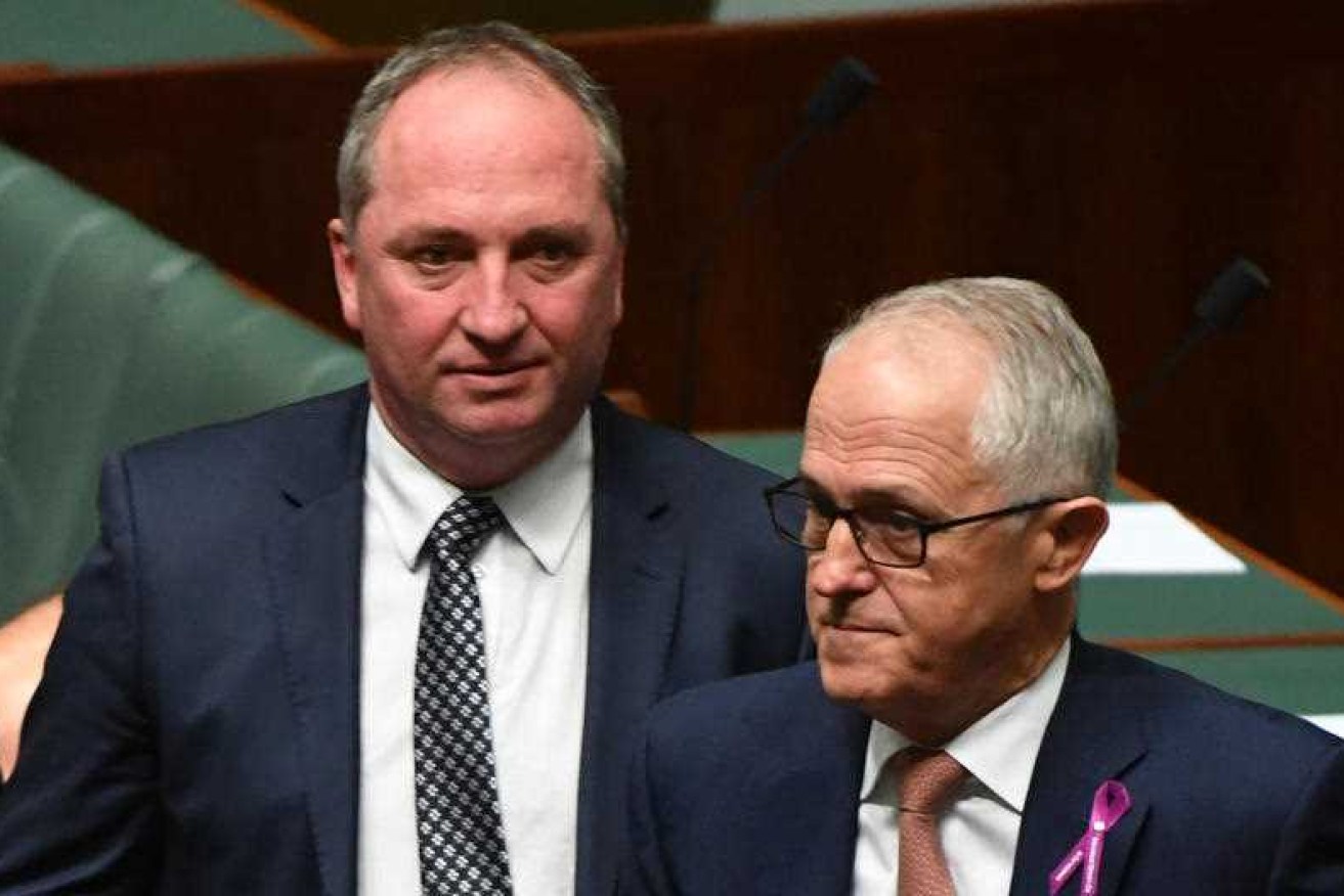 Mr Turnbull's former deputy described Mr Turnbull's decision as selfish.