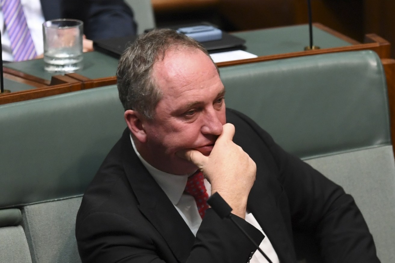Barnaby Joyce has  included his new partner's financial holdings in the parliamentary register. 
