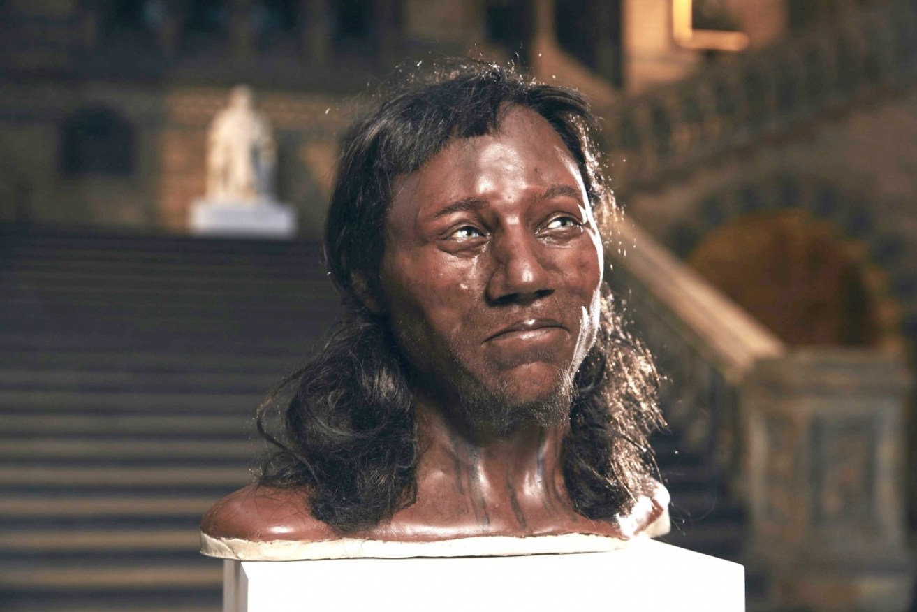 Scientists assessing the DNA of Britain's oldest, nearly complete skeleton, Cheddar Man, have found he had dark skin.