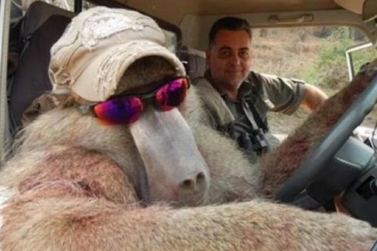 Nick Haridemos pictured next to a dead baboon wearing sunglasses and hat.