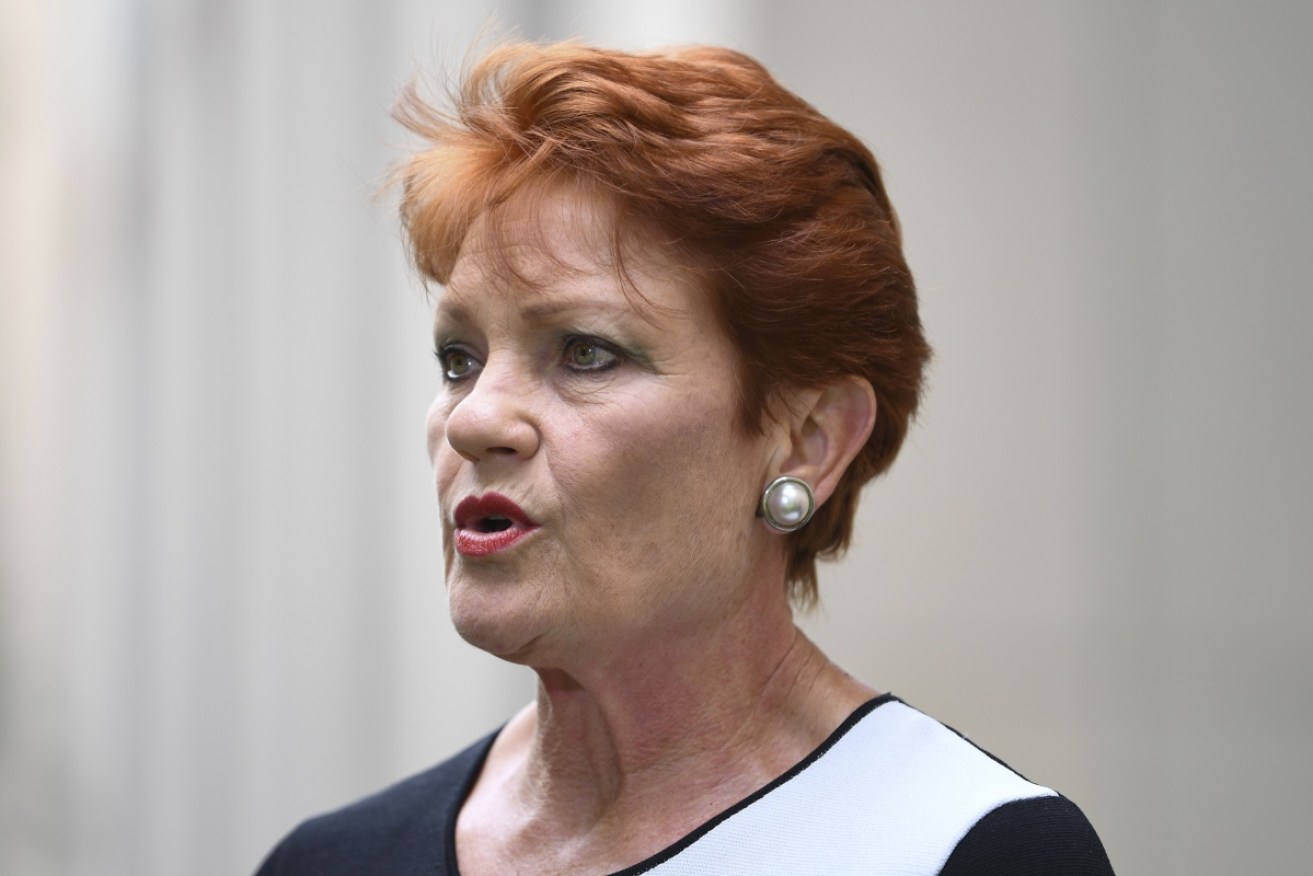 Ms Hanson hauled before the powerful Senate privileges committee .
