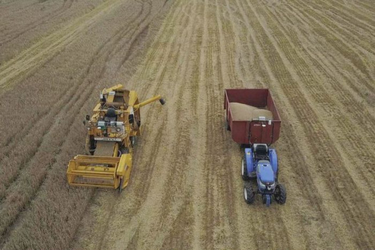 Grain Producers Australia chairman Andrew Weidemann said the tariffs would have a huge impact on the industry.