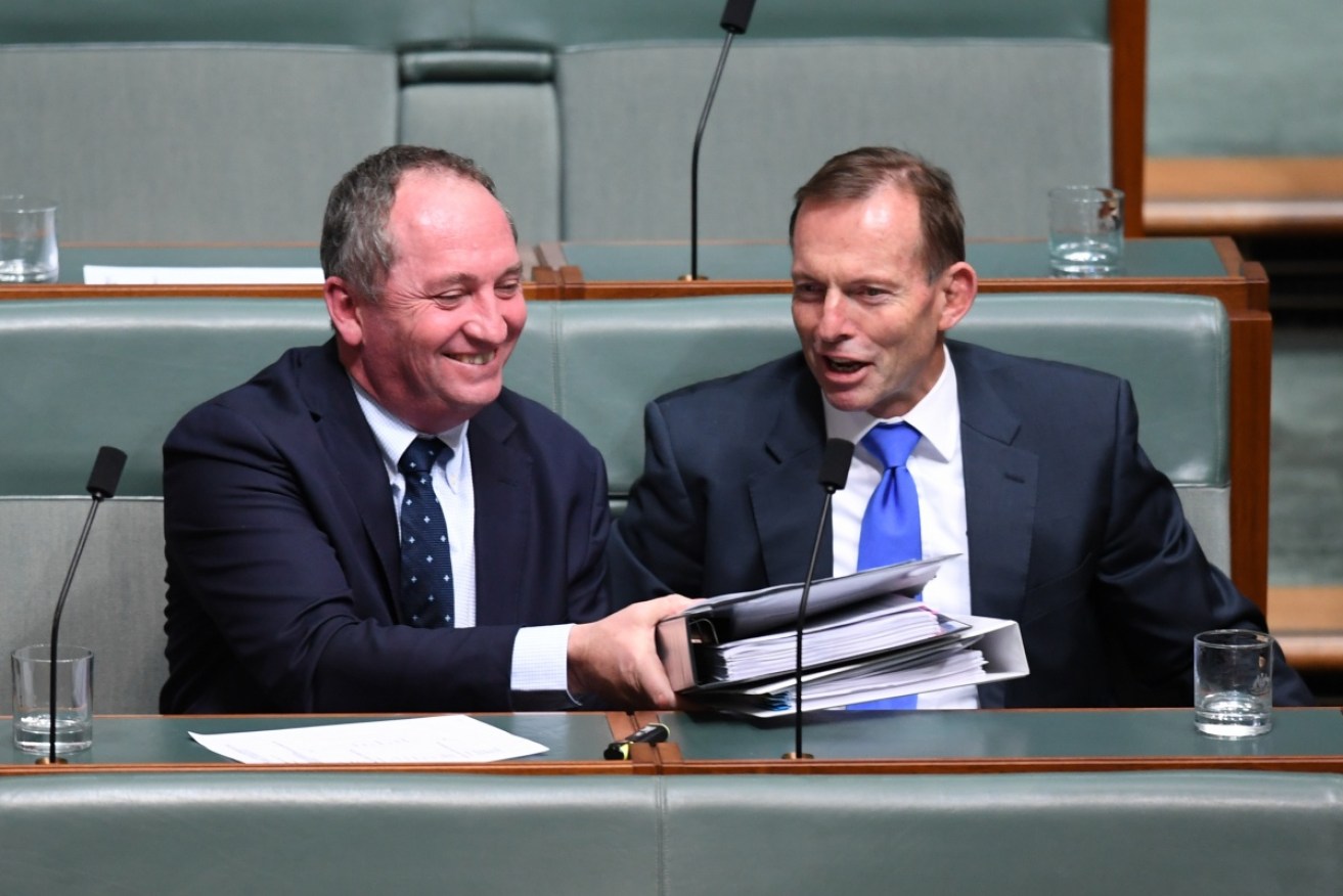 The email mocked Barnaby's new backbench position besides Abbott