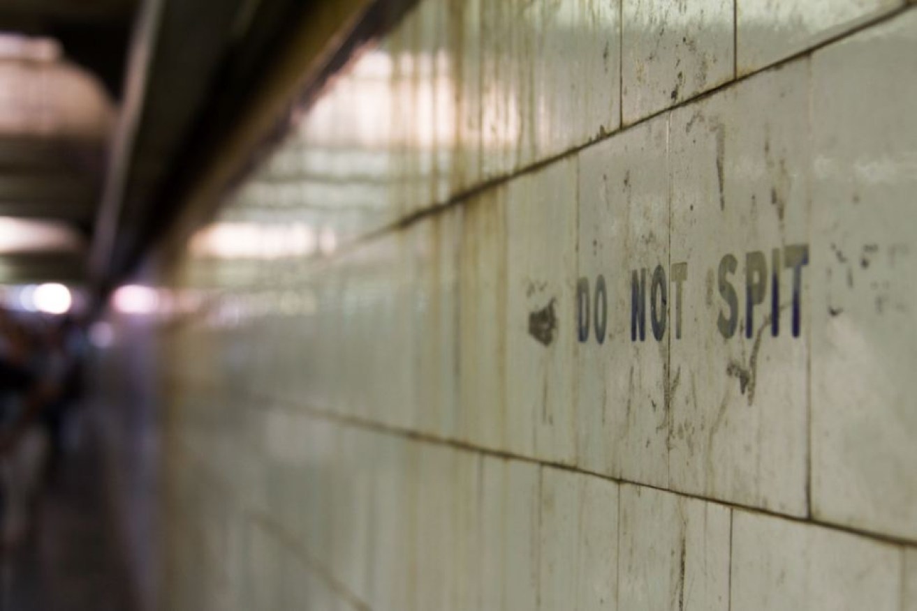 Flinders St Station's 'do not spit' signs will survive the station's $100 million revamp.