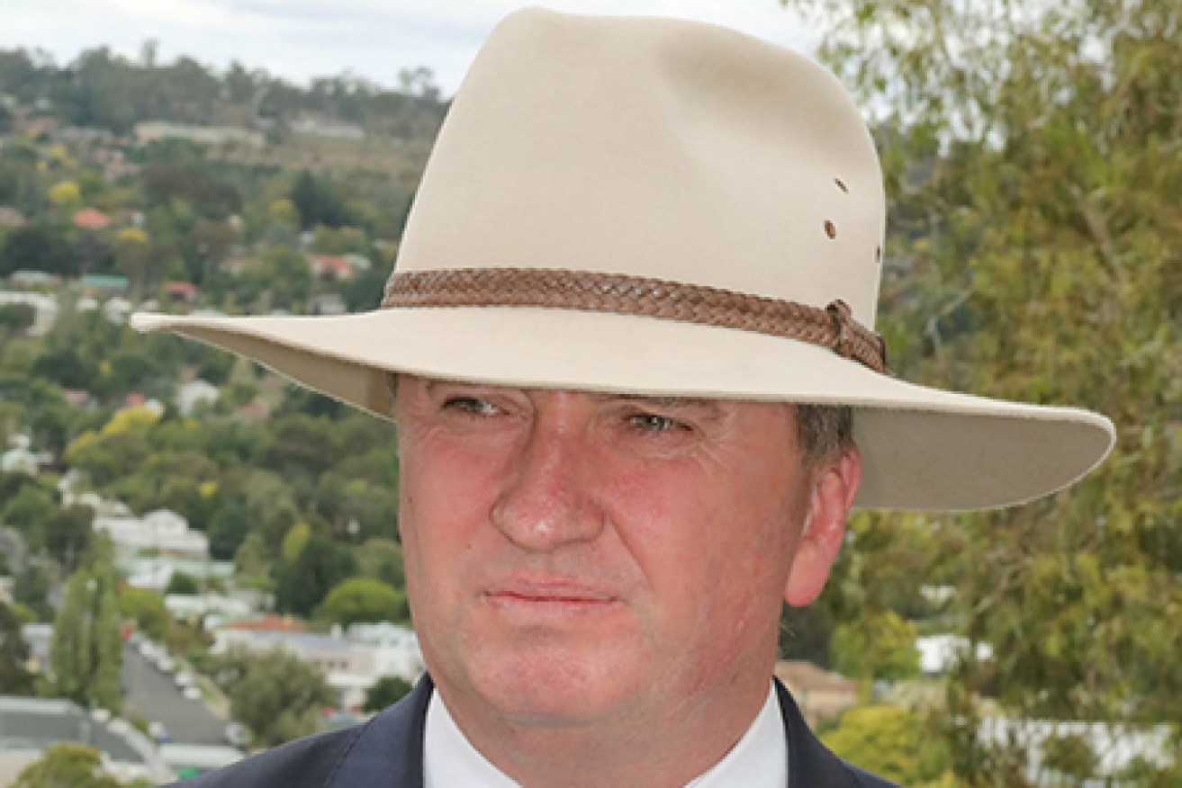 Barnaby Joyce resigned from the leadership of the National Party last month.