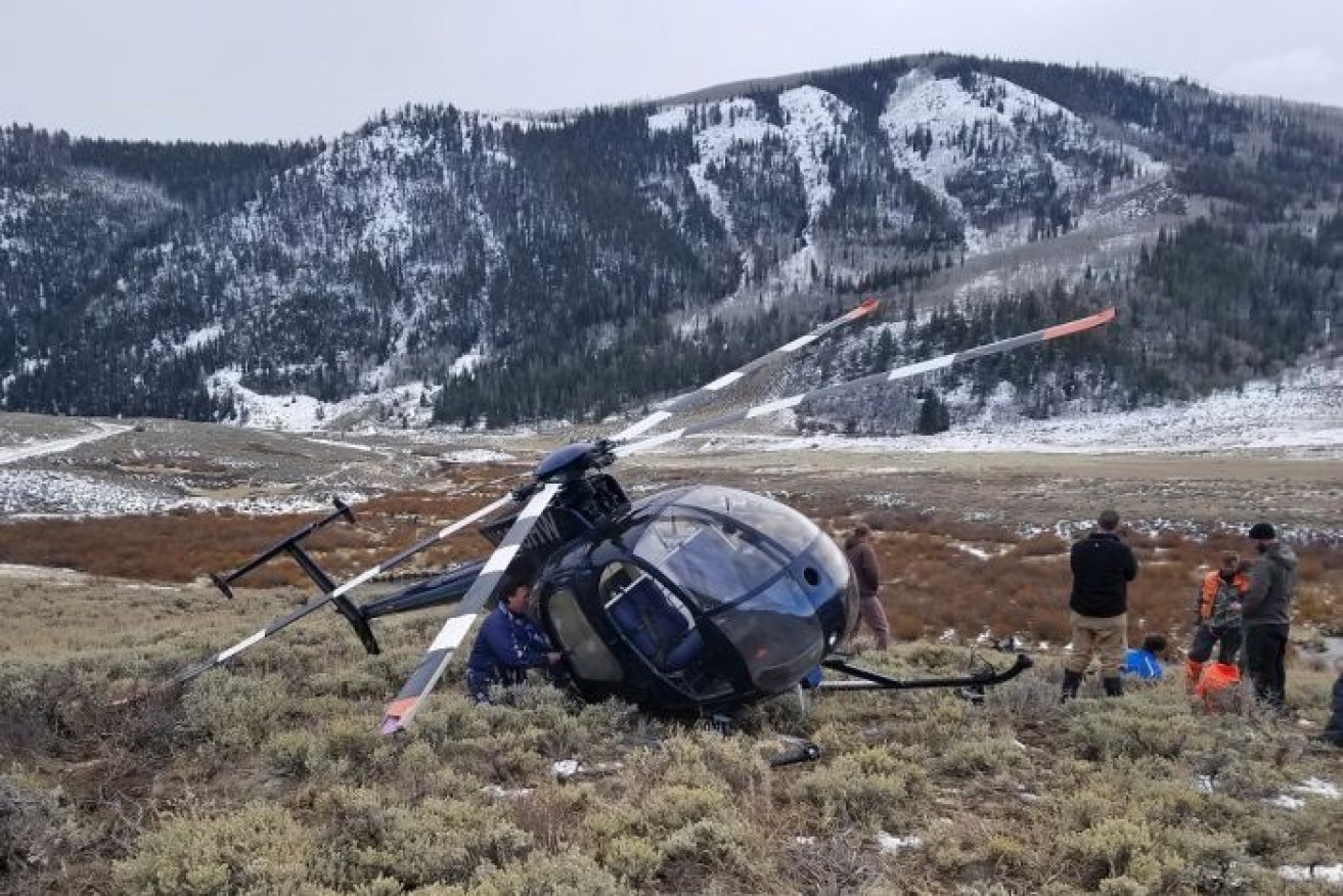 The research helicopter crashed when the elk jumped into its tail.
