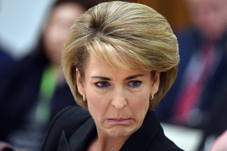 The most appalling thing about Michaelia Cash&#8217;s threat to &#8216;name Shorten&#8217;s women&#8217;
