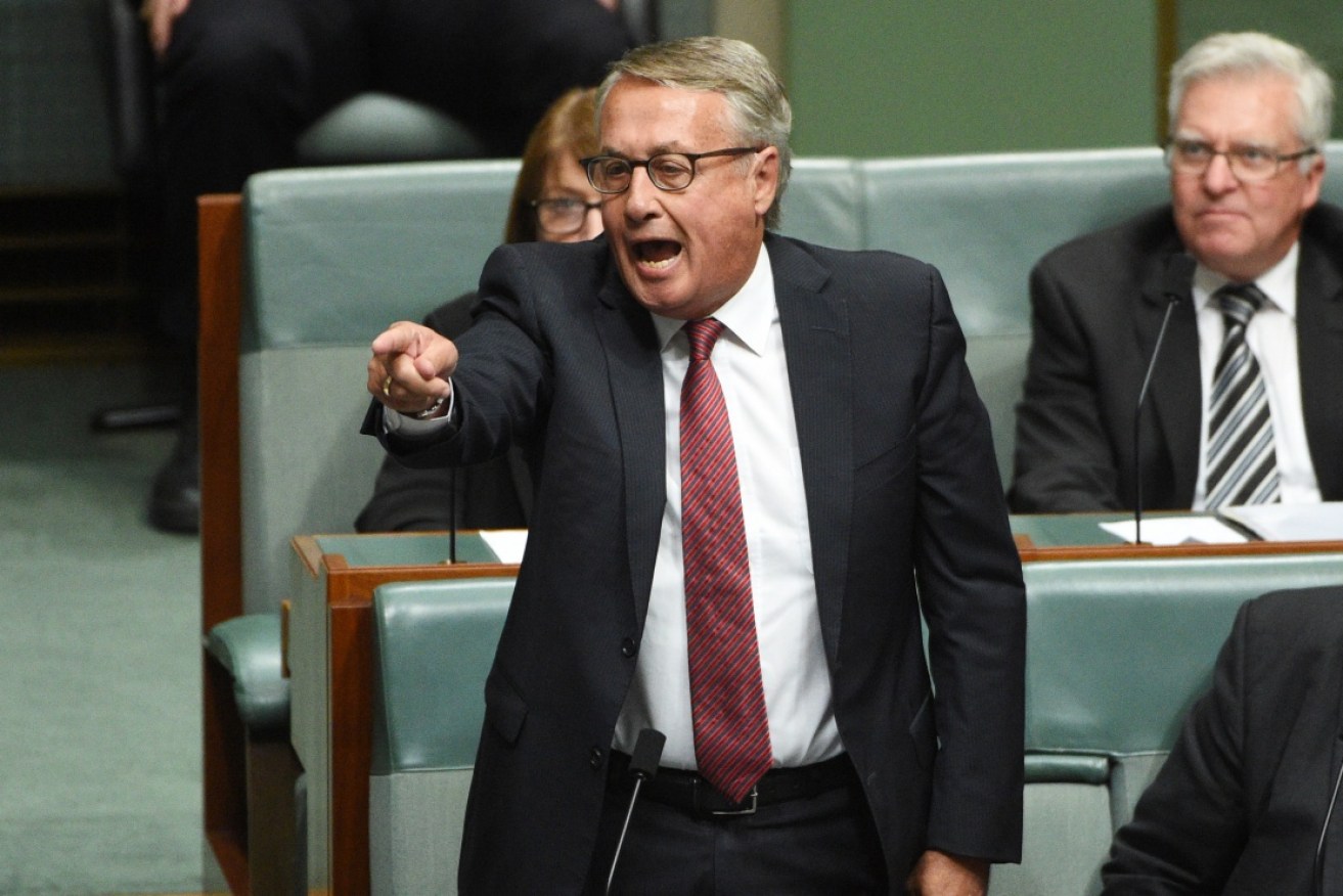 Wayne Swan says Andrew Forrest is 'suffering from a blindness of affluence'. 
