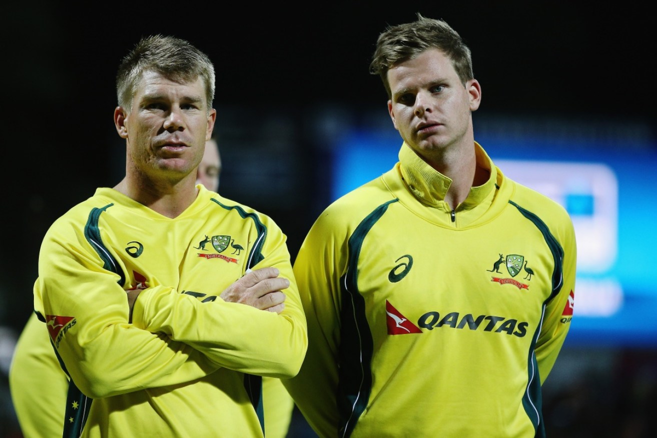 David Warner and Steve Smith will resume playing for Australia after being named in the 2019 World Cup squad.