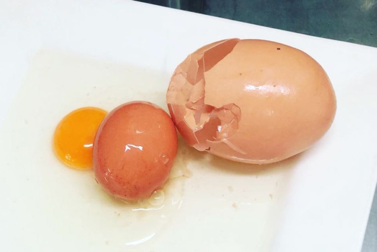 This egg within an egg is a biological anomaly, according to animal expert Raf Freire.