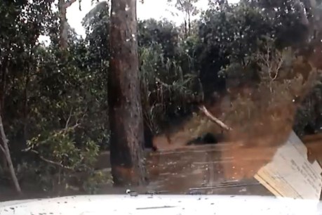 Dashcam captures terrifying moment car hits floodwaters