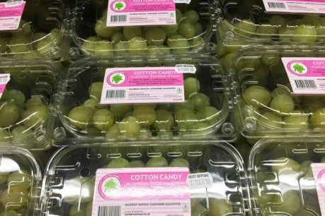 Cotton candy grapes that taste like fairy floss hit Australian supermarkets