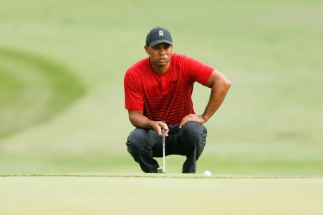 Tiger Woods rejected $1 billion offer: Greg Norman