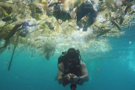 Diver films wave of plastic pollution on scale &#8216;never seen before&#8217;