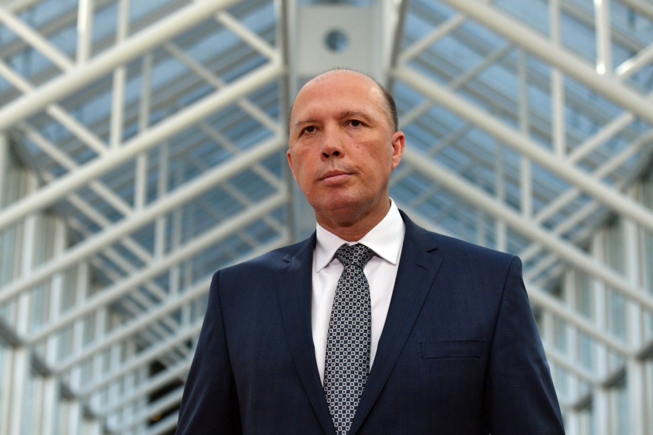 The South African government has slammed Peter Dutton's comments on helping white farmers, saying they are not at risk.