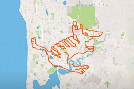 Cycling group at it again with Strava map numbat