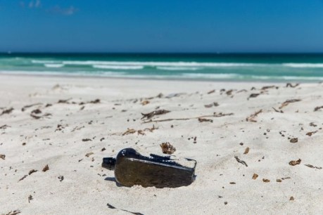 Oldest-known message in a bottle found on WA beach 132 years after being tossed overboard