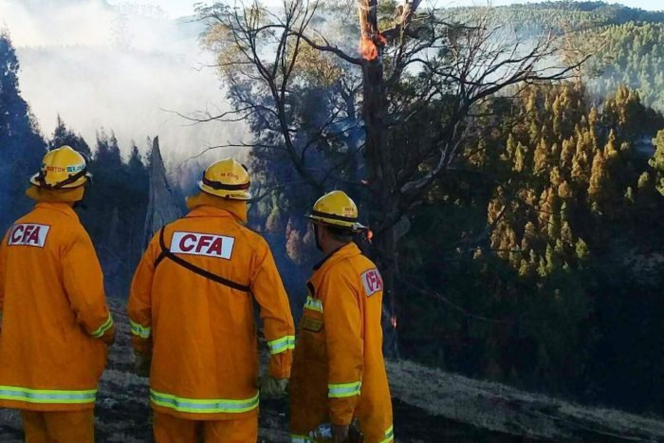 The CFA contained a bushfire in Seaview in Gippsland on March 10. 