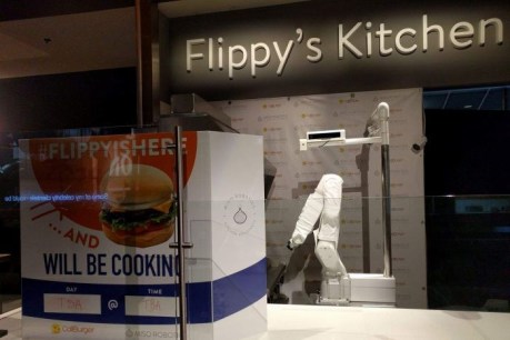 &#8216;Flippy&#8217; flops: Burger-cooking robot is taken offline after just one day