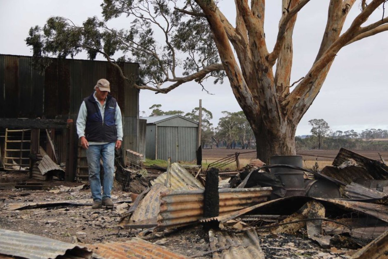 David Gilmour surveys the damage on his Terang farm after the fires in March last year. Photo: ABC 