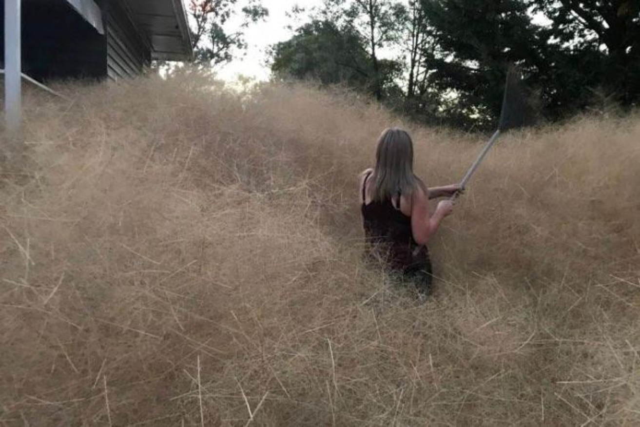 A home in north-east Victoria has been inundated by tumbleweed.