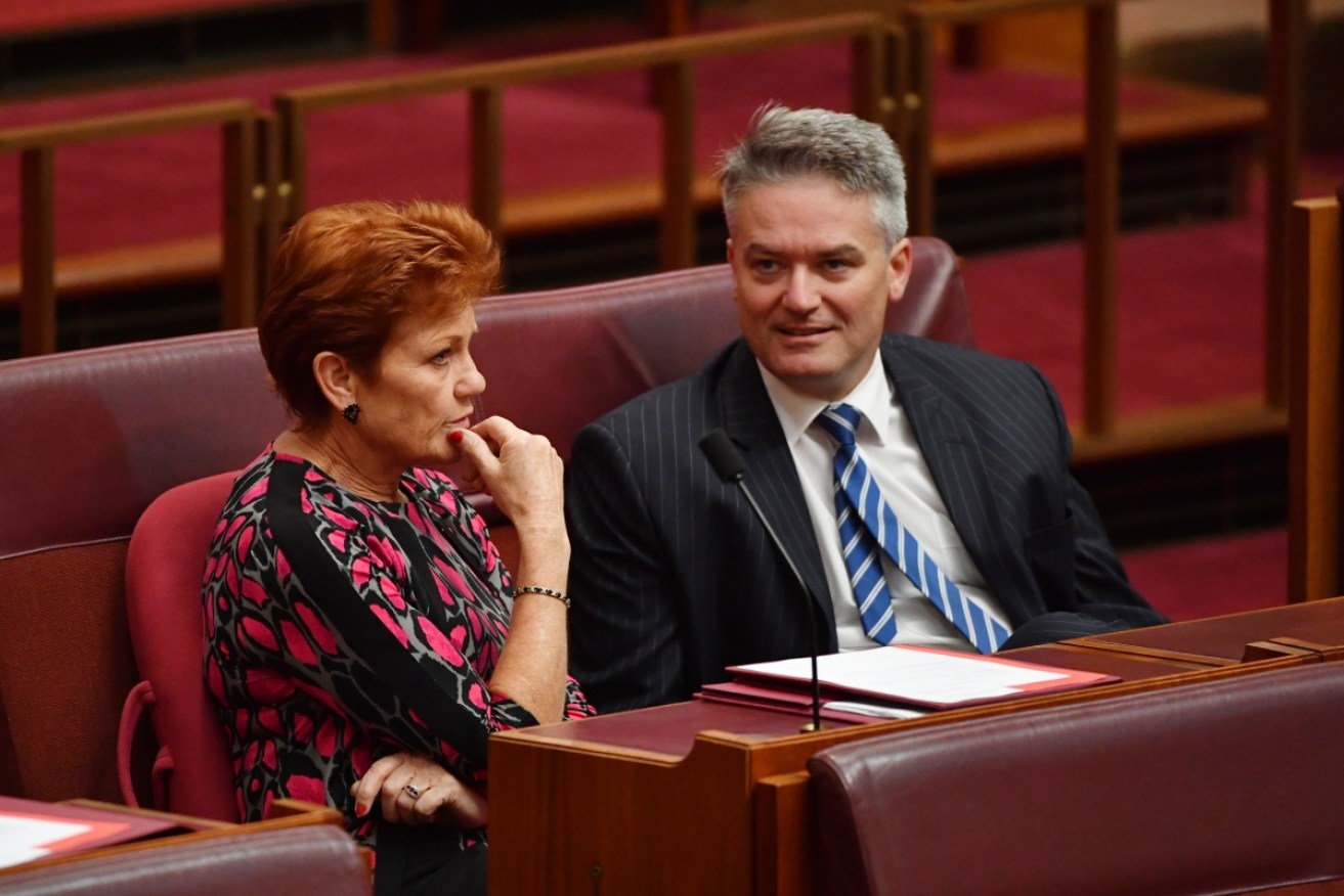 One Nation leader Pauline Hanson has backed the government's tax plan. 