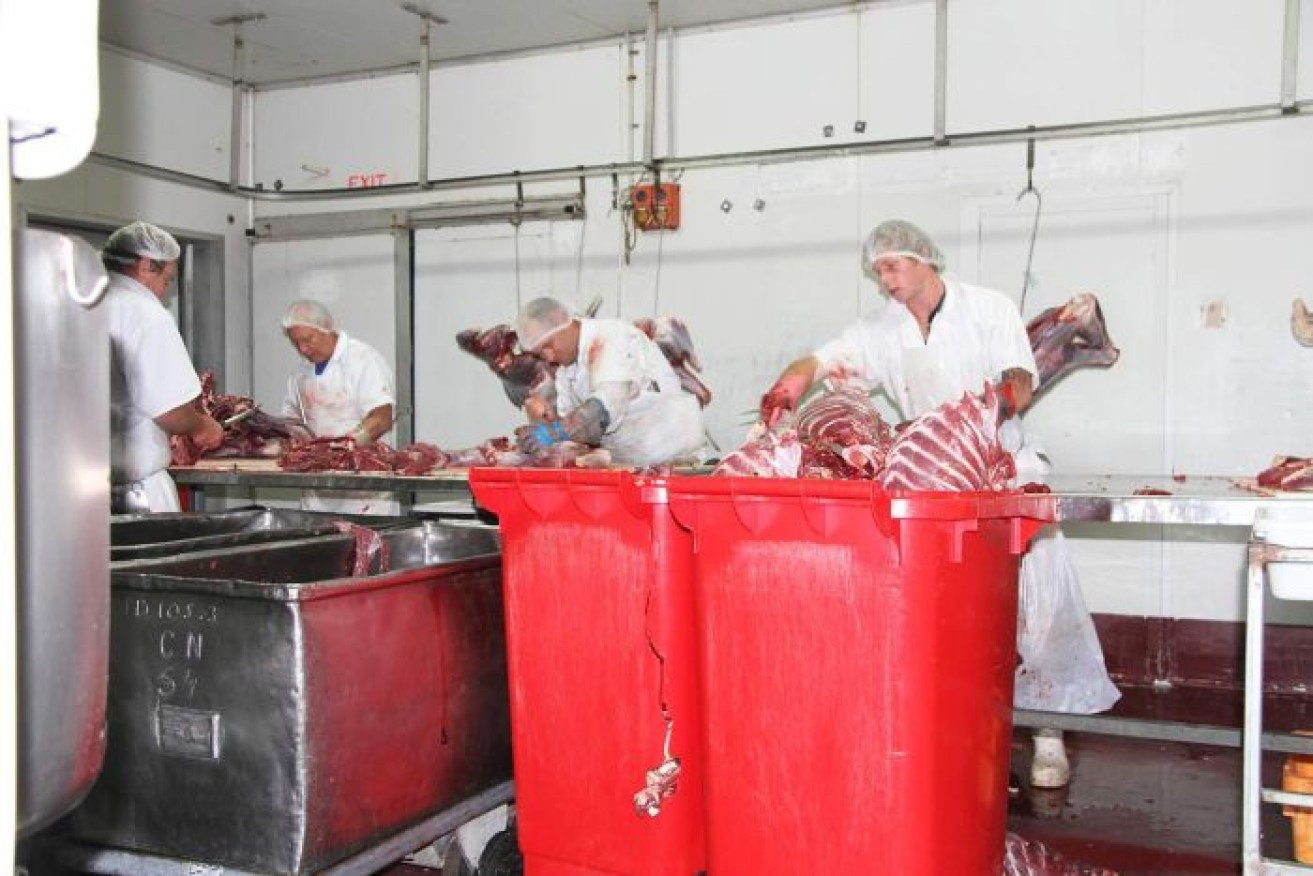 Kangaroo processing plant Warroo Game Meats in western Queensland employs about 30 people. 