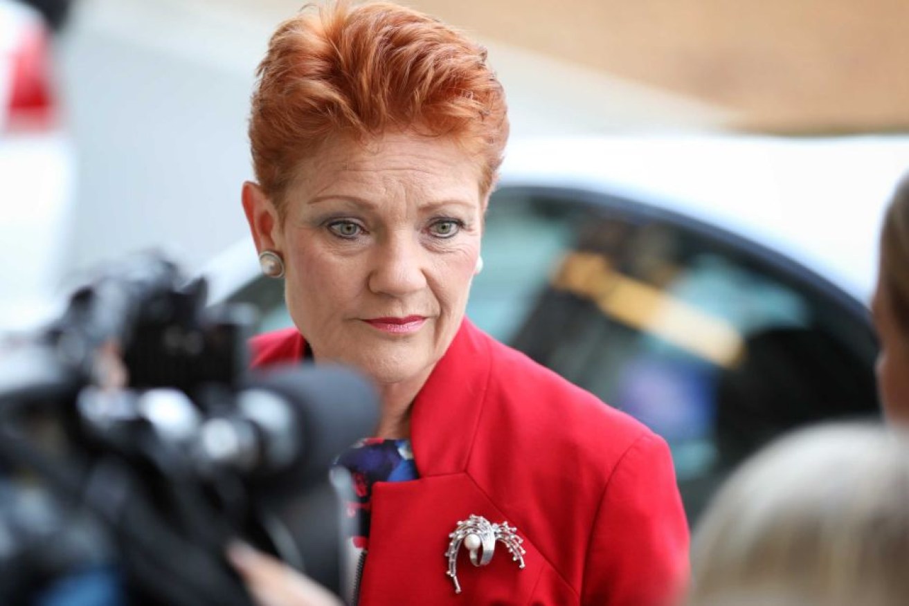 Pauline Hanson told the ABC she has long lobbied for extra apprentices.  